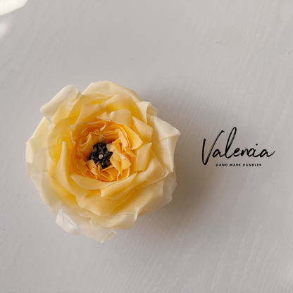 Flower Candle Course: From Beginner to Artisan in 4 Weeks