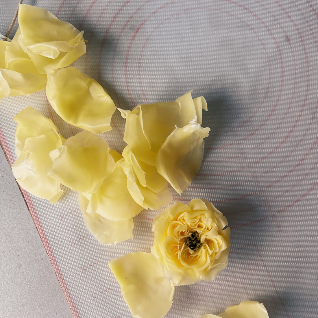 Flower Candle Course: From Beginner to Artisan in 4 Weeks