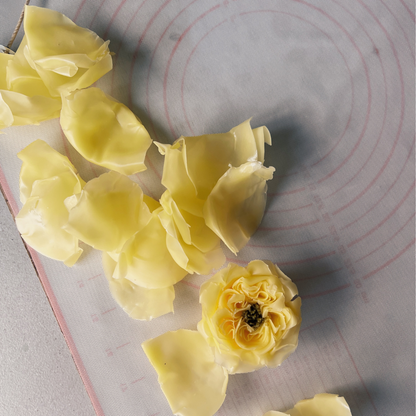 Flower Candle Course: From Beginner to Artisan in 4 Weeks